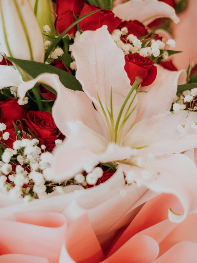 Lily’s Grace - Image 3