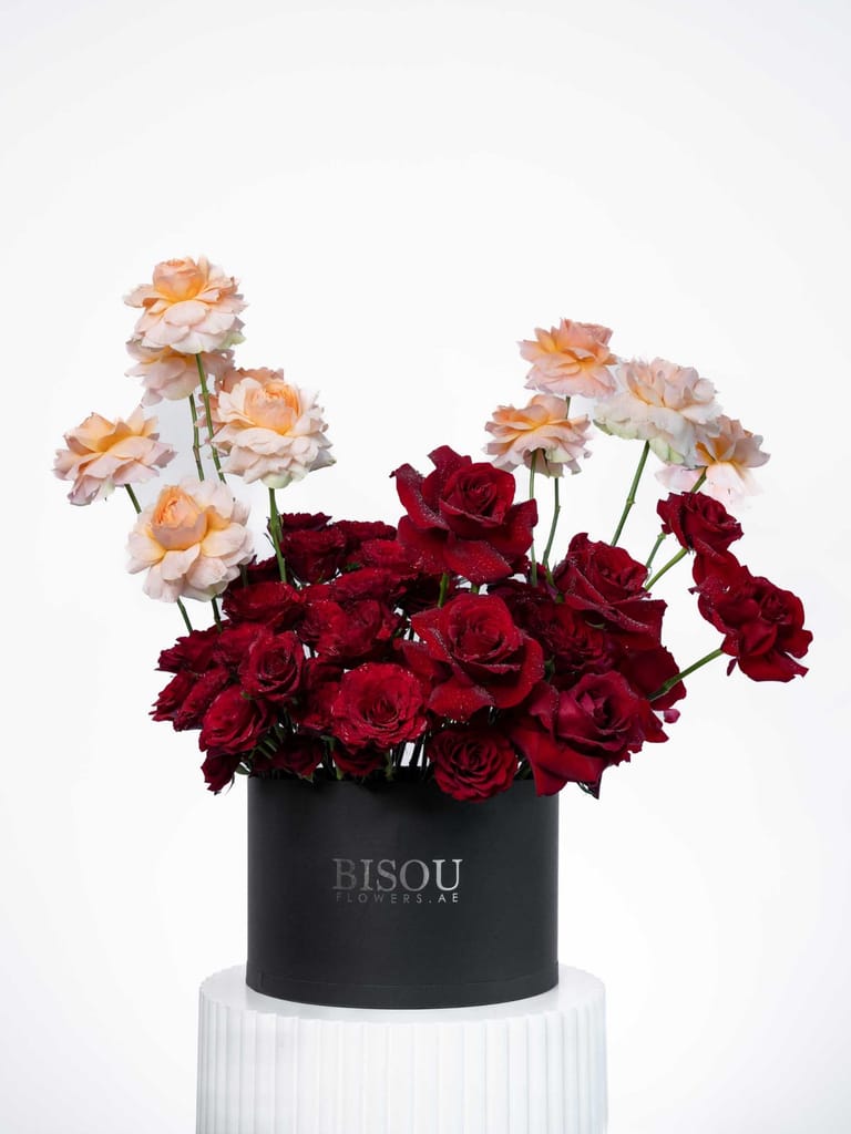 Serenade of Roses - Image 1