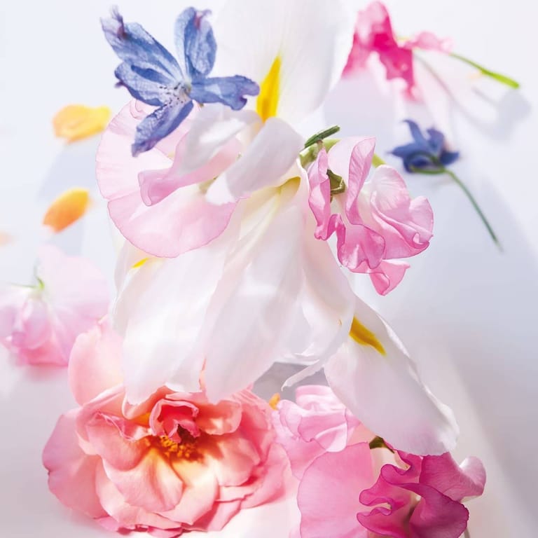 Miss Dior Eau de Parfum – women - Image 3