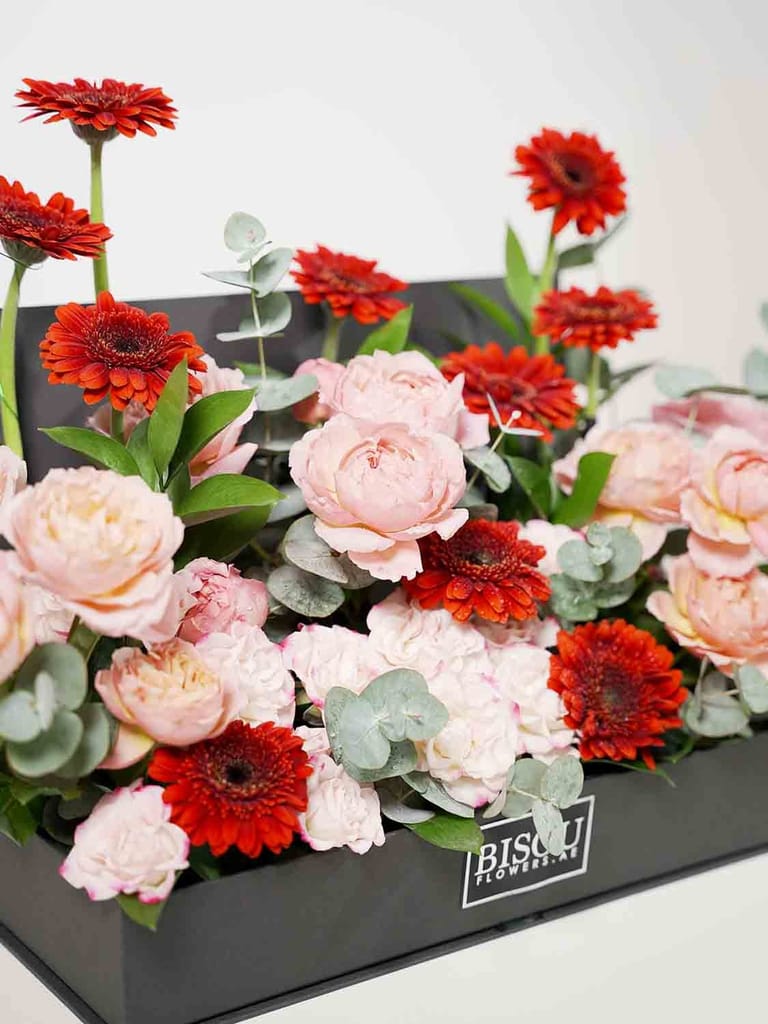 Blush & Crimson - Image 2
