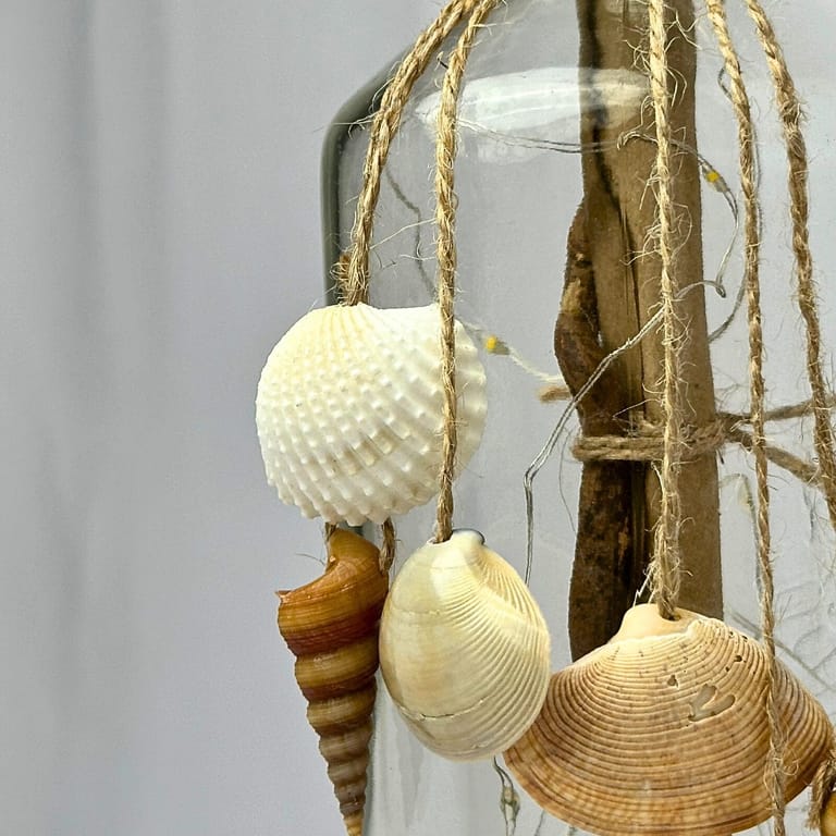 Seashell Glow - Image 3