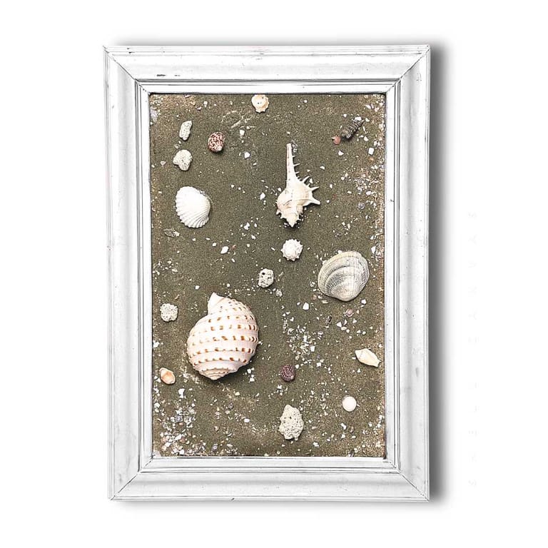 Moonlit Shells - Image 1