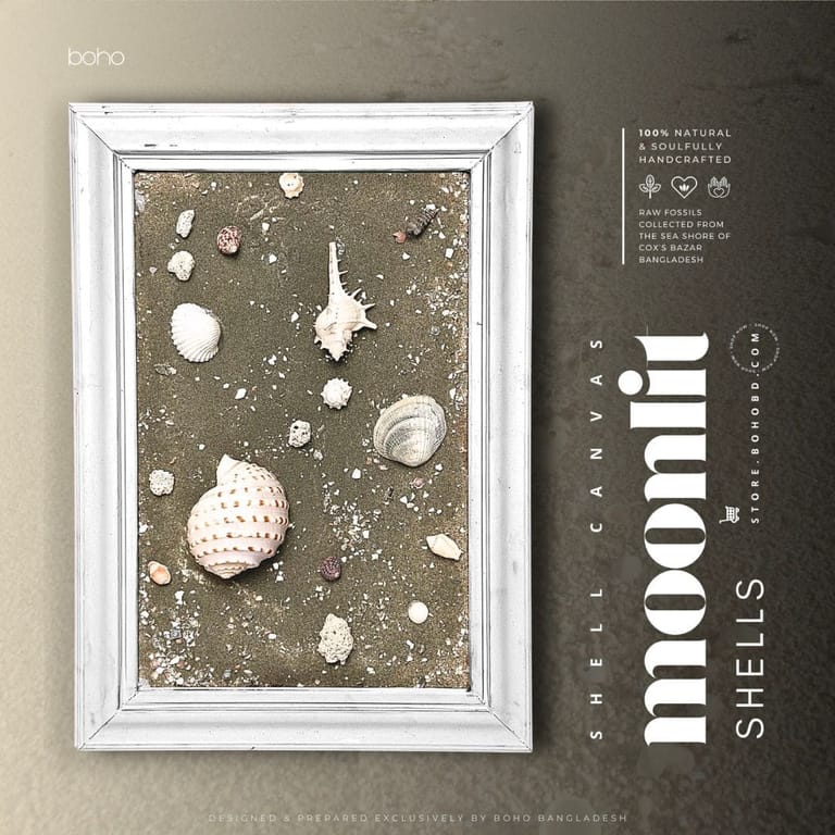 Moonlit Shells - Image 2