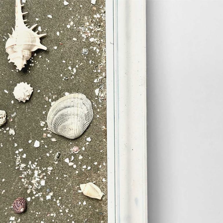 Moonlit Shells - Image 3