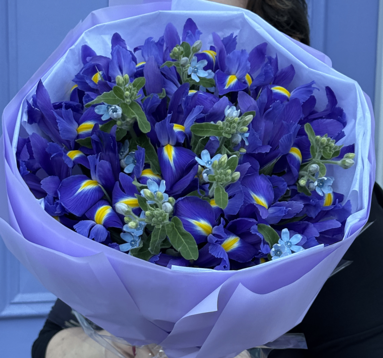 Bluebell Elegance - Image 2