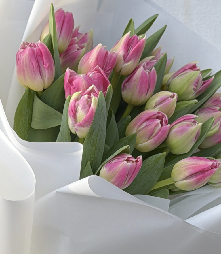 Delicate Bright Pink Tulip Bouquet - Image 2