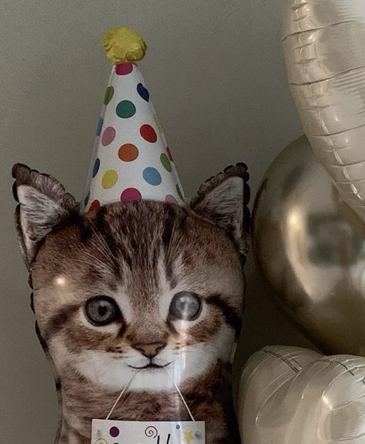 Cue the Catfetti - 7 Balloons