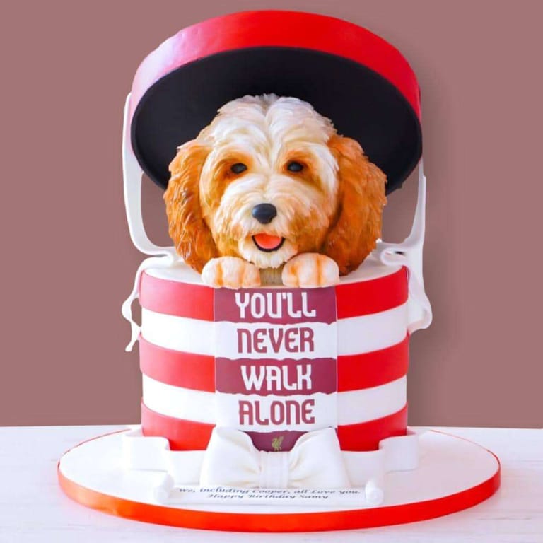 Liverpool & dog themed cake - Image 1