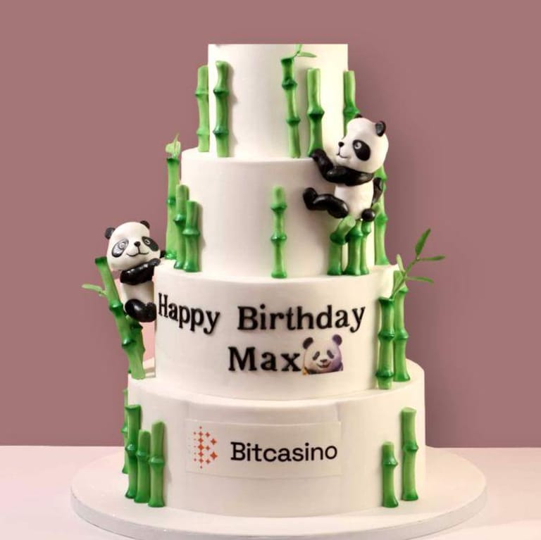 Exquisite Panda Cake - Image 1