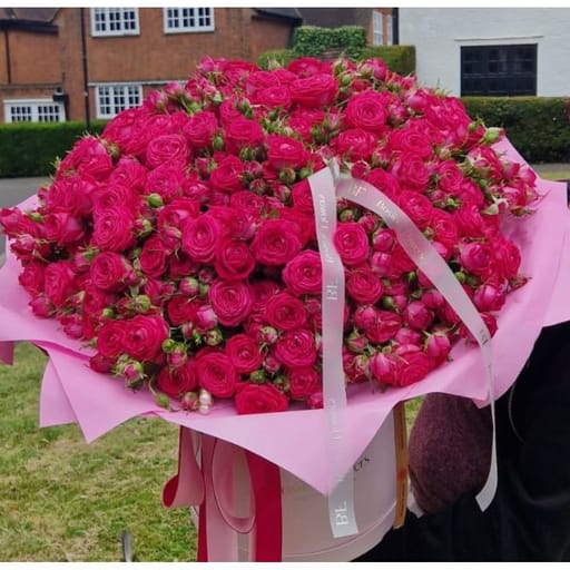 Pink Spray Roses