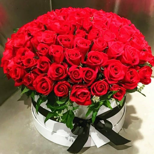 Grandiose  Red  Rose  Box