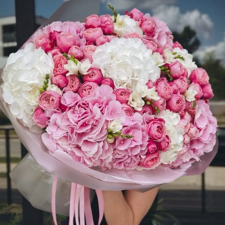 Blushing Elegance - Image 1