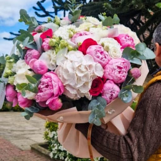 Peony Paradise
