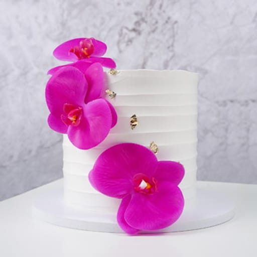 Classy Orchid