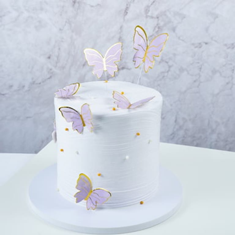 flying papillon