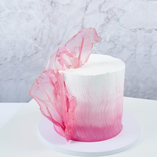 Modish Pink