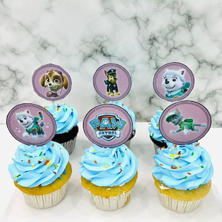 Paw Patrol Cupcake 2 - Image 1