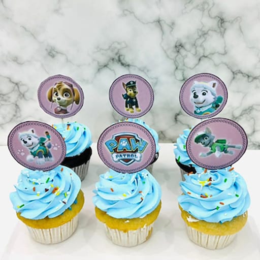 Paw Patrol Cupcake 2