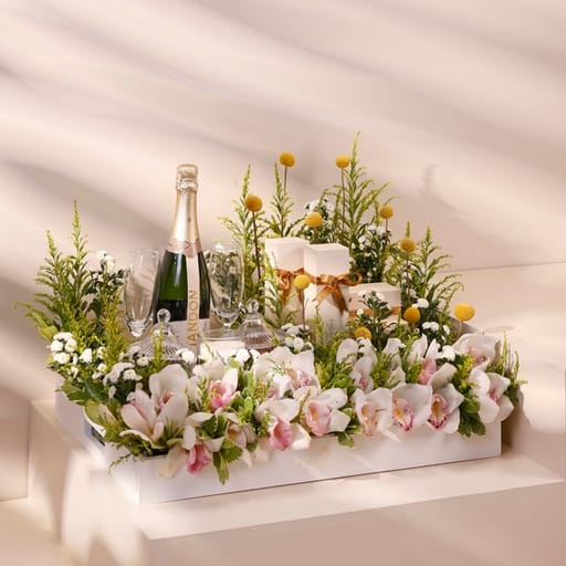 exotica tray