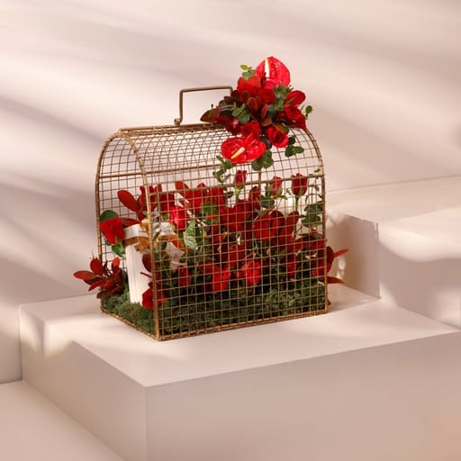 crimson cage