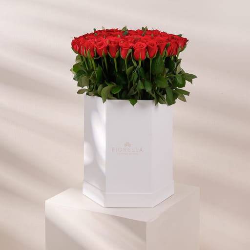 classic hexagon box