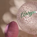 Photo 84023