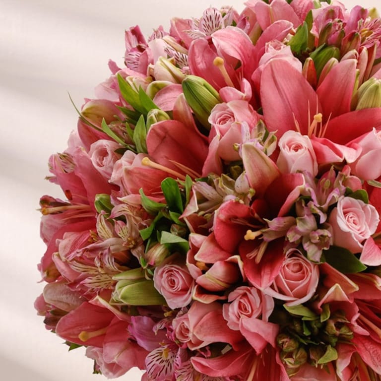 sugarblush - Image 2