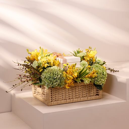 sunlit harmony