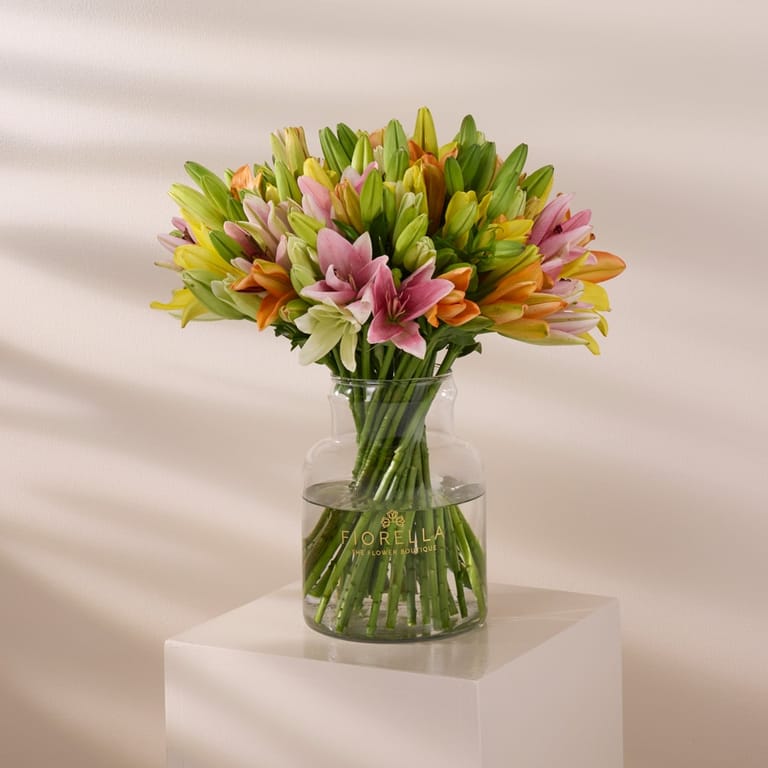 lush garden - Image 1