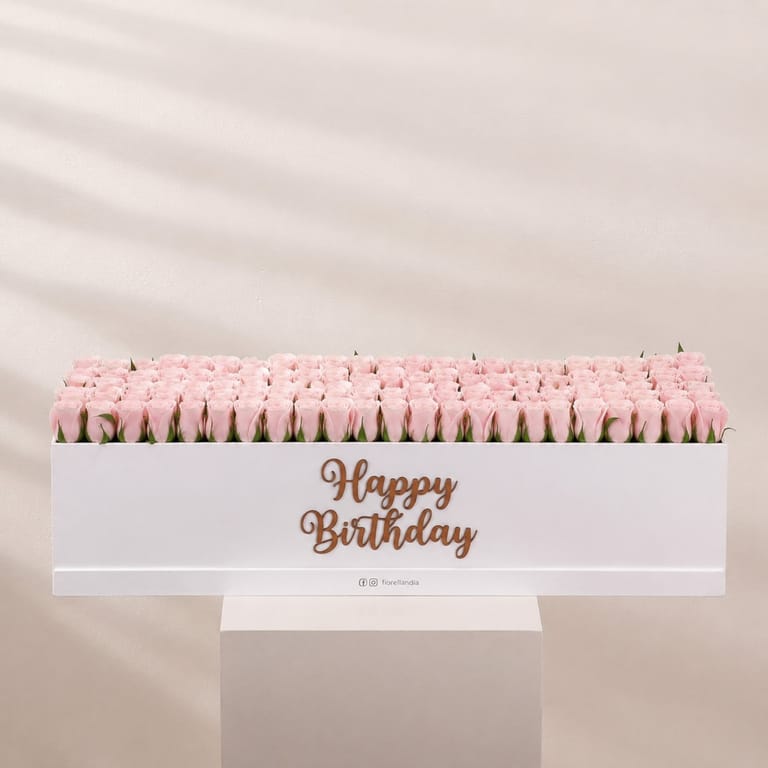 long box - special edition - Image 3