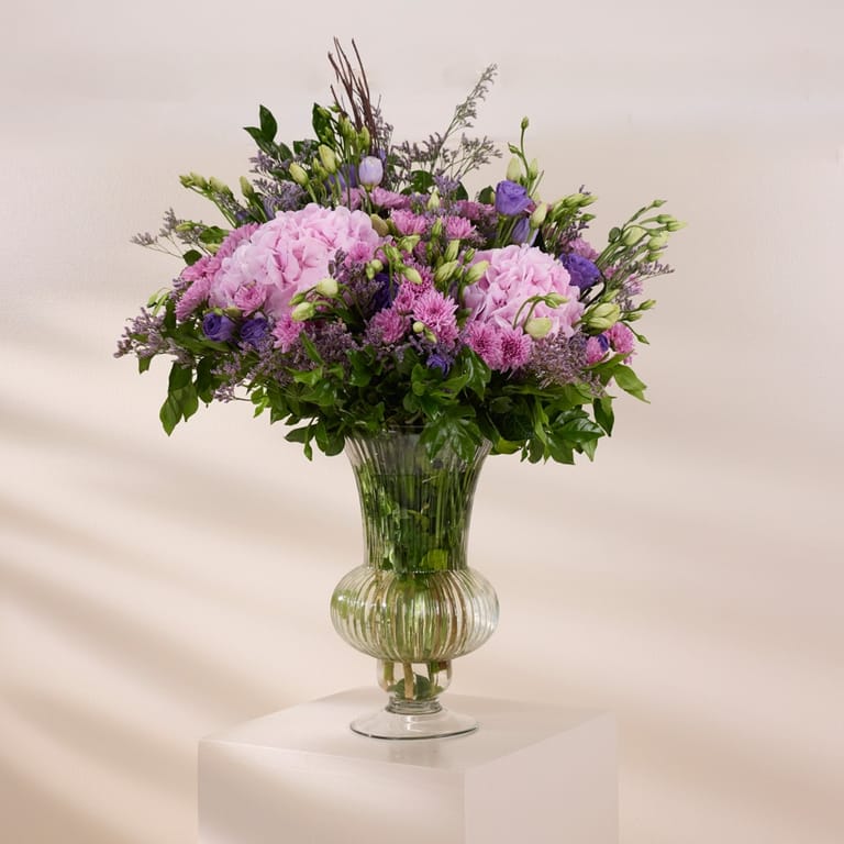 blush hydrangea muse - Image 1