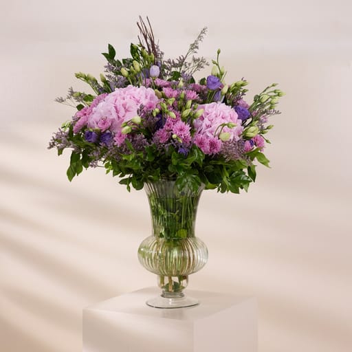 blush hydrangea muse