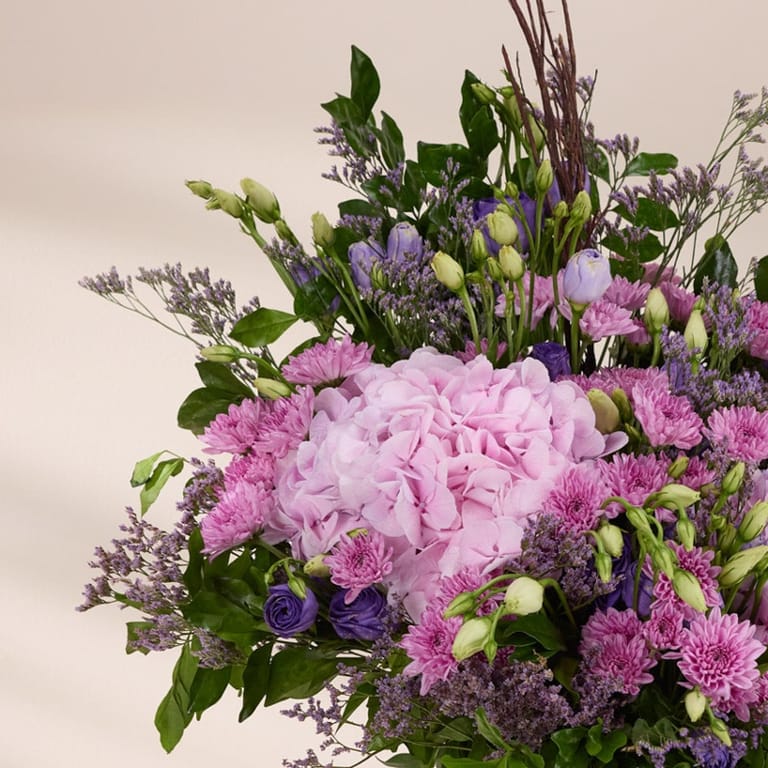 blush hydrangea muse - Image 2