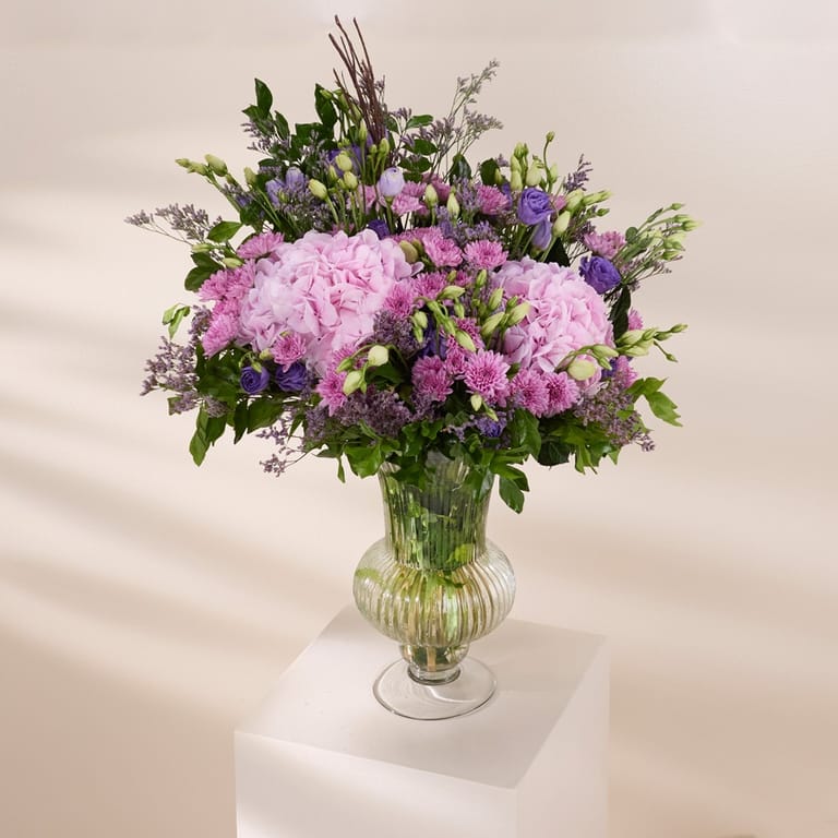 blush hydrangea muse - Image 3
