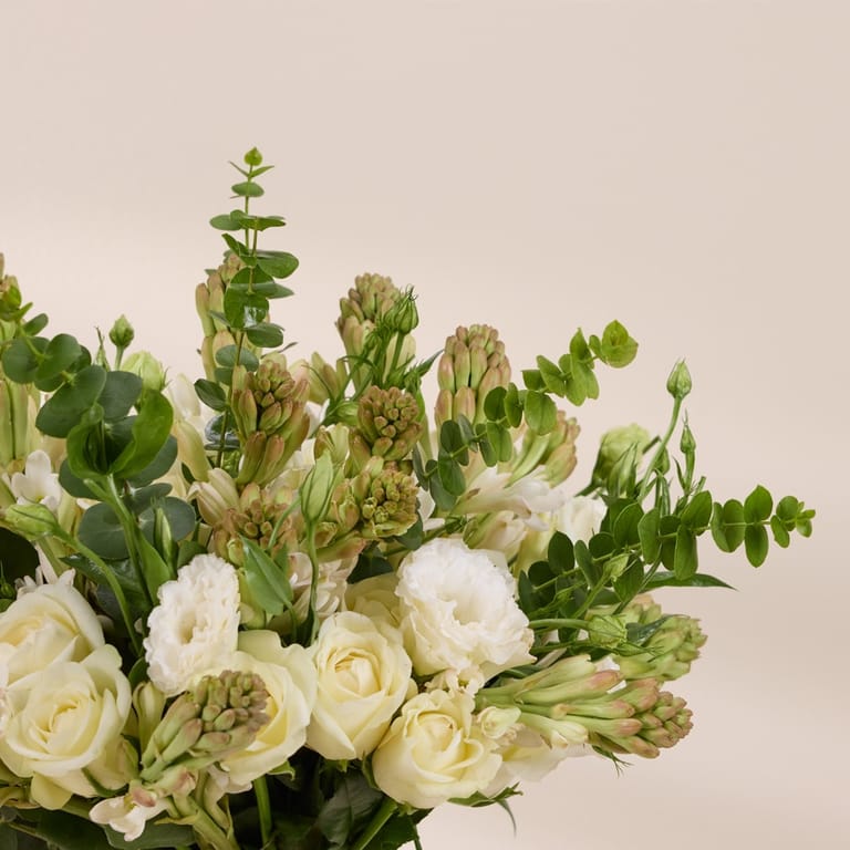 ivory grace - Image 2