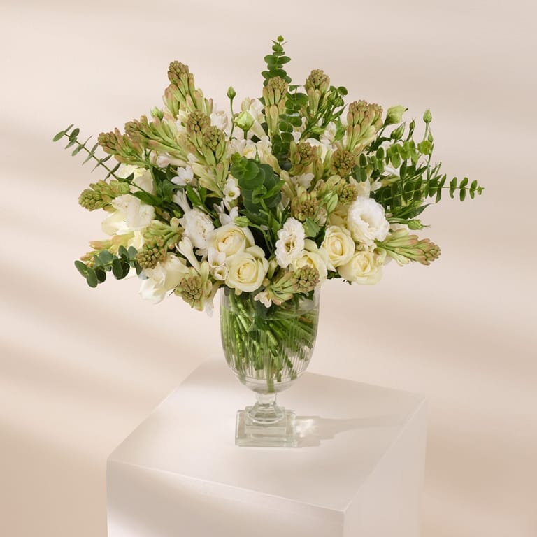 ivory grace - Image 3