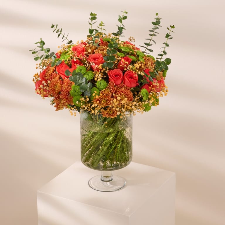 summer glow - Image 3