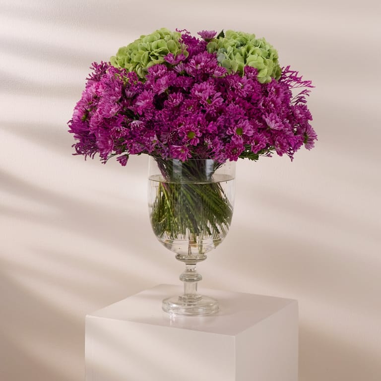 vibrant blooms - Image 1