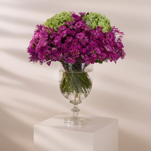 vibrant blooms