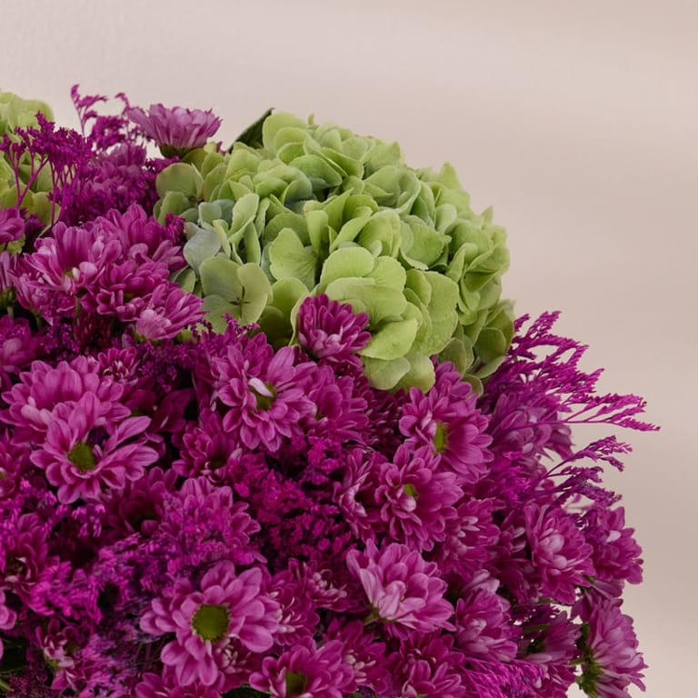 vibrant blooms - Image 2