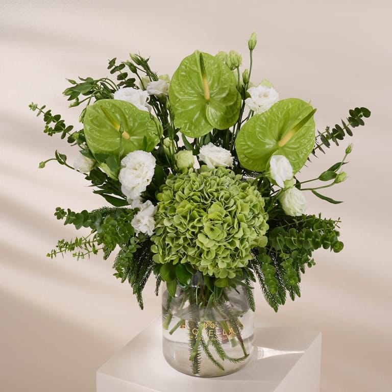 verdant muse - Image 3