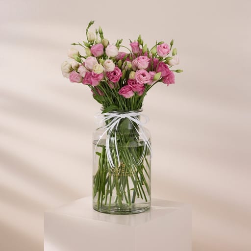 blush eustoma edit
