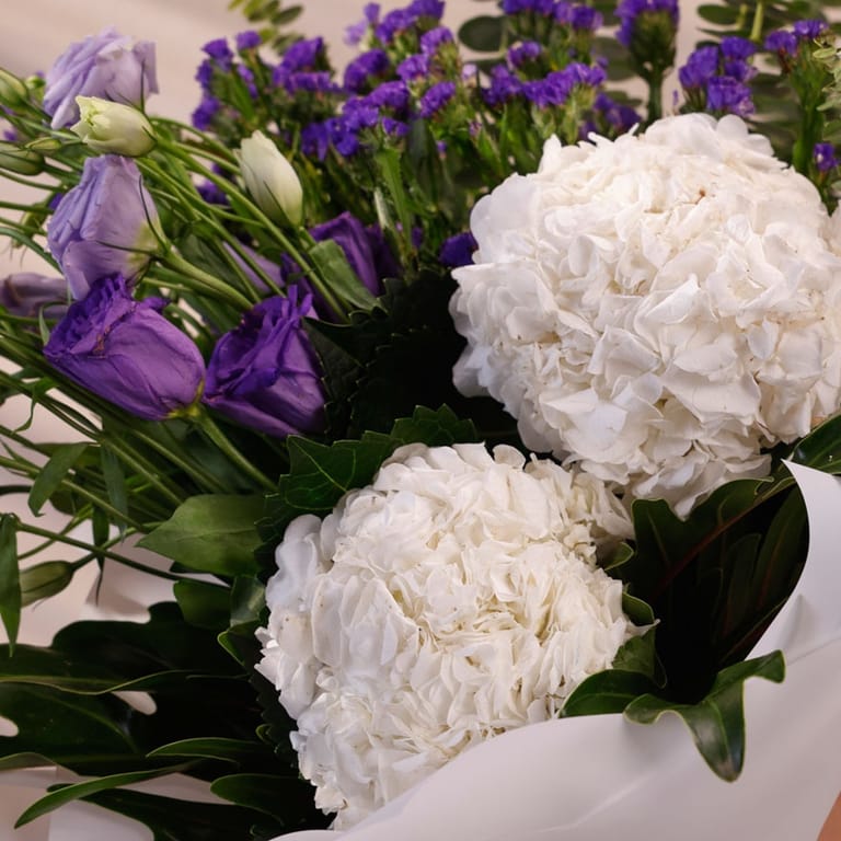 white & wild - Image 2