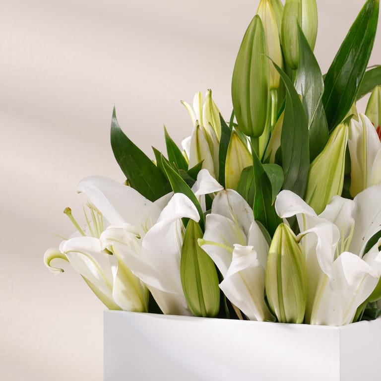 cube series - lillies - Image 5