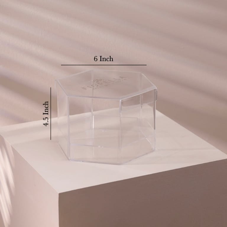 the forever now - Image 4