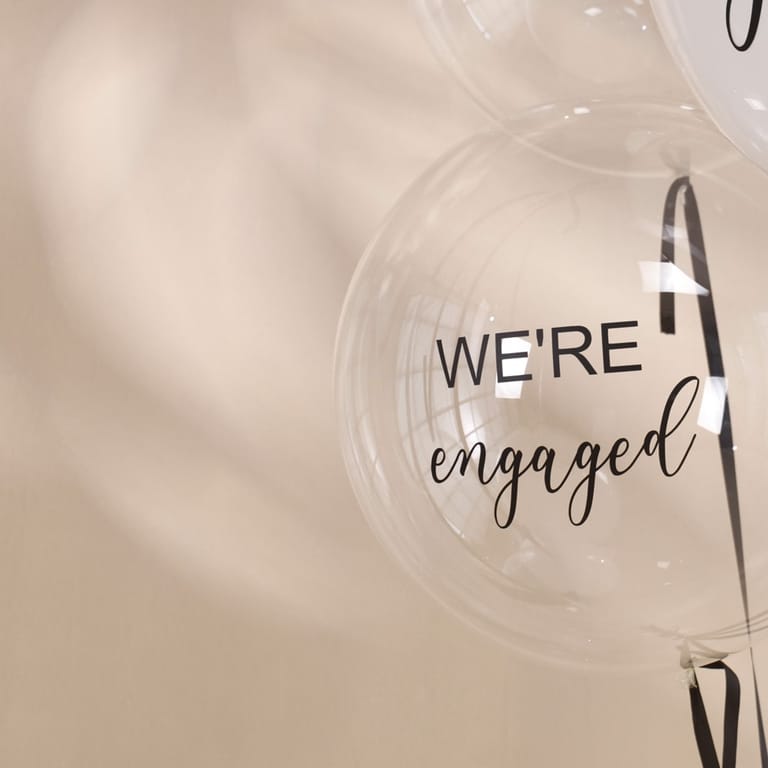 the proposal - Image 3
