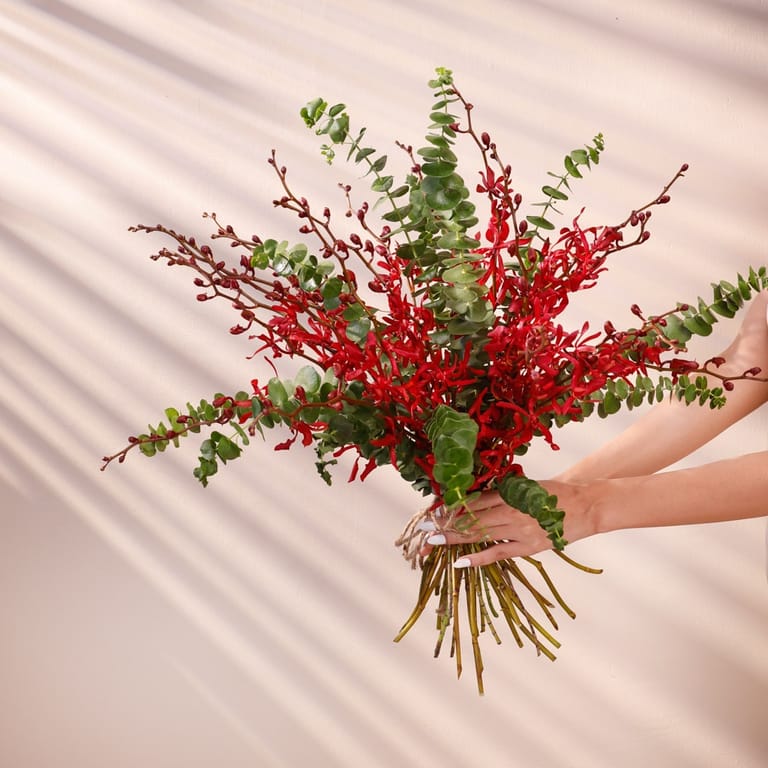 wild scarlet - Image 1