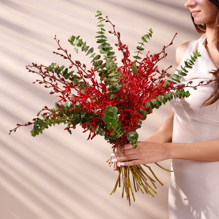 wild scarlet - Image 3