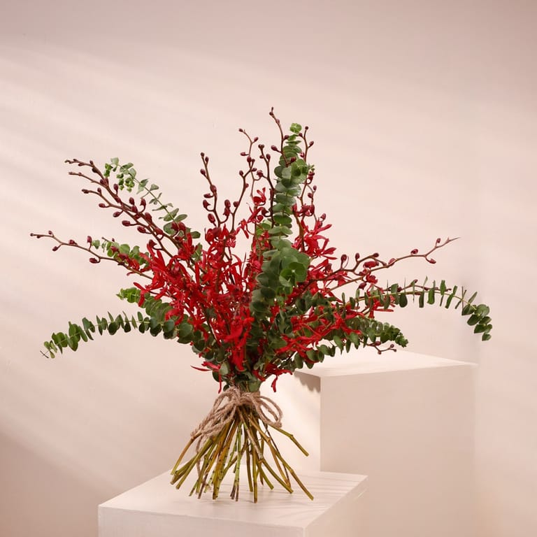 wild scarlet - Image 4