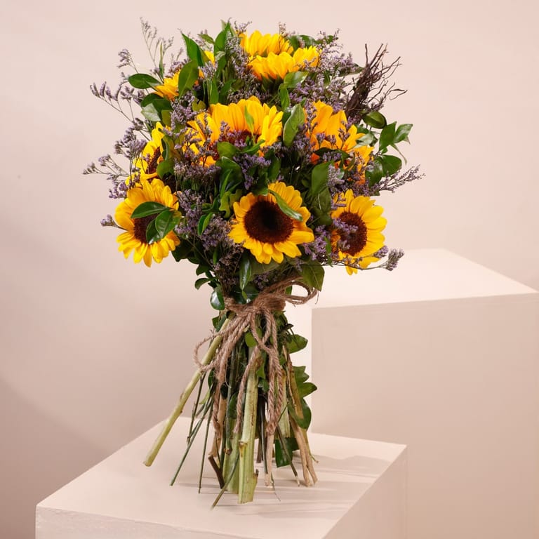 sunflower mellow - Image 1